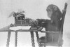 Monkeys and Typewriters and Data (oh my!)
