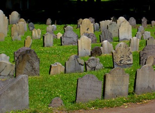 Is SaaS Dead? No. Neither is Debate.
