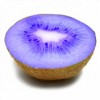 Not this blue kiwi :-)