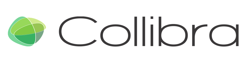 A podcast with Felix Van de Maele, discussing Collibra