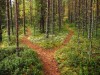Lowering Risk at Decision Points