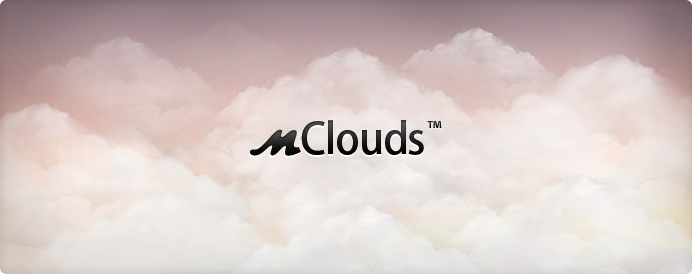 Morph Labs Tweaks Their Offerings To Make It More Palatable To Enterprises