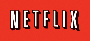 Looking Back 2010: Netflix's NY Times Moment
