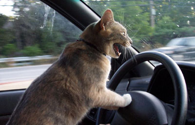 Implementing Enterprise 2.0 for the Federal Government Part Two: Who Drives the Tools?