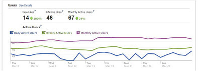 More data on Facebook Insights