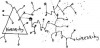 Wirearchy - preferred by entrepreneurs