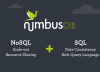 Disruptive Cloud Start-Ups - Part 1: NimbusDB