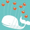 Twitter's Walled Garden Strategy