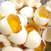 Find Egg-breakers: People With Influence and Authority Who Are Unafraid to Use Them