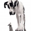 Can Small Companies Benefit from Collaboration?