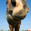 REST definition and its place within Enterprise Integration