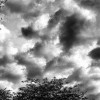 CIO view: NIST helps cut vendor cloud FUD
