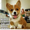 Image credit: We know Memes