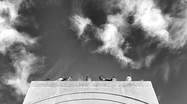 Cloud Watching by Michael Krigsman