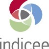 Indicee Launches Analytics for Chatter