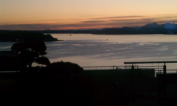 Overlooking the Puget Sound, Japanese Garden in the forefront from the Russell Investments Building in Seattle.
