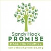 Sandy Hook Promise and Tech Activism