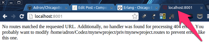 Hitting http://localhost:8001