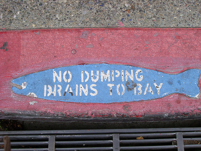 No Dumping Brain to Bay.