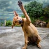 Understanding the Underbelly of Online Marketing & Why You’ll Lose if You Don’t