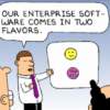 Recruiting End Users For Enterprise Software Applications