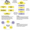 How a 300,000 Person Company is Becoming a Start-Up
