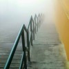 Chasing Unknown Unknown, The Spirit Of Silicon Valley
