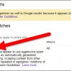 When Google errs: A cautionary tale of great power