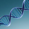 Harvard medical professor: Big data and analytics help cure cancer