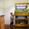 Founders from MIT With a Plan to Change How We Grow and Eat Food