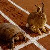 What Do Industry Insiders Think Will Happen in VC in 2016?