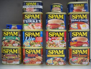 Spam: Probably the Most Interesting Speech of the Day at Gnomedex 09