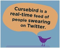 Friday Fun: CurseBird