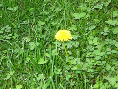 Defrag in the weeds