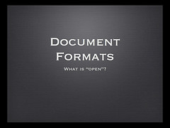 SaaS Risk Reduction - Open Formats