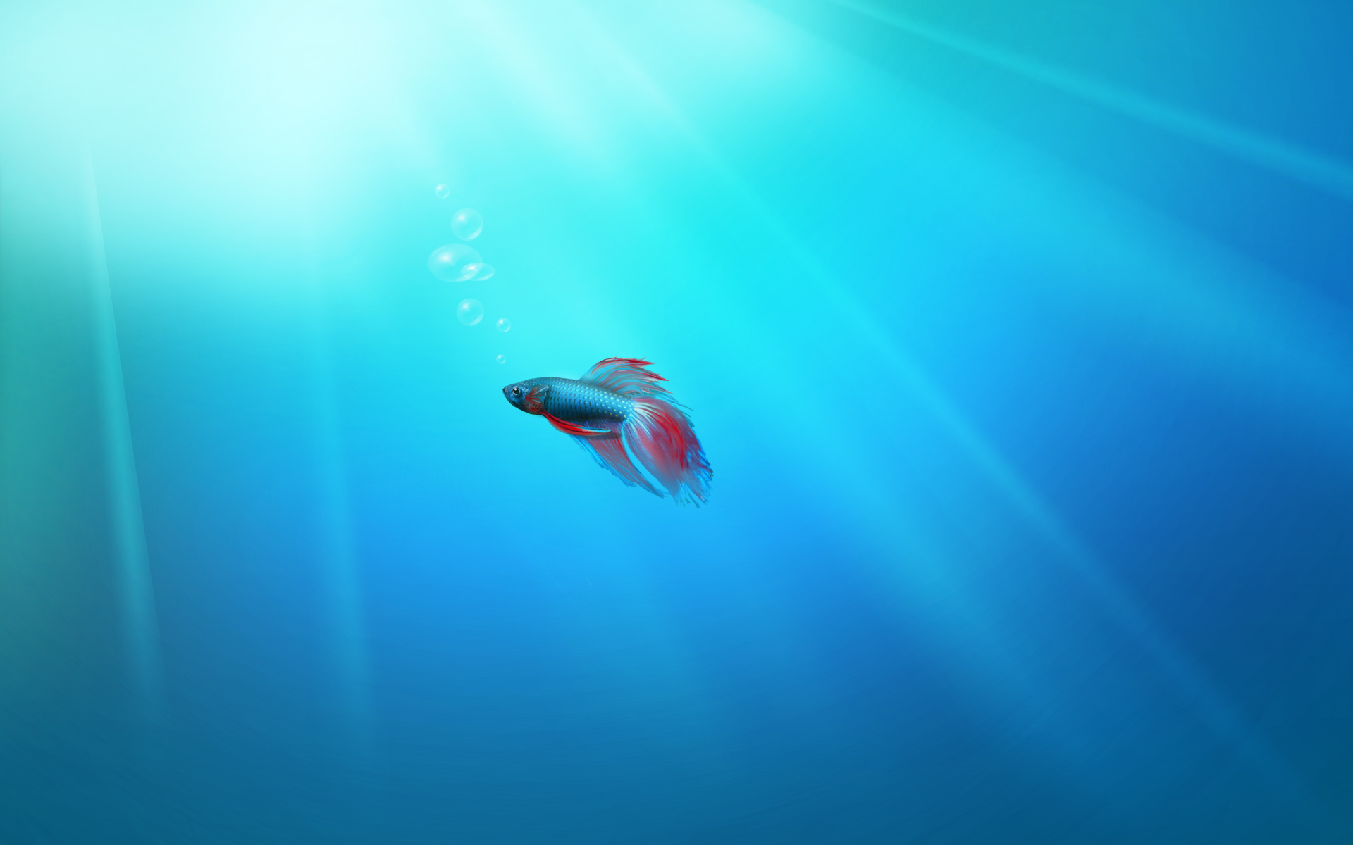 Playing with the Windows 7 Fish