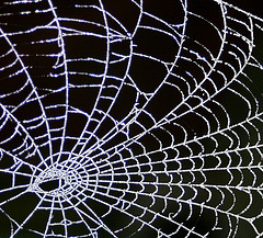 Happy 20th Birthday Web And Thanks For Giving Us Cloud Computing