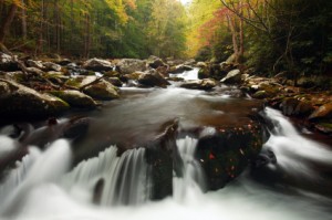 The Case for In-Stream Advertising