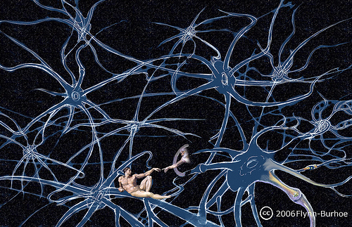 On the “Synaptic Web”